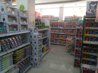 攜手淘淘虎玩具 開啟兒童早教玩具事業(yè)新篇章